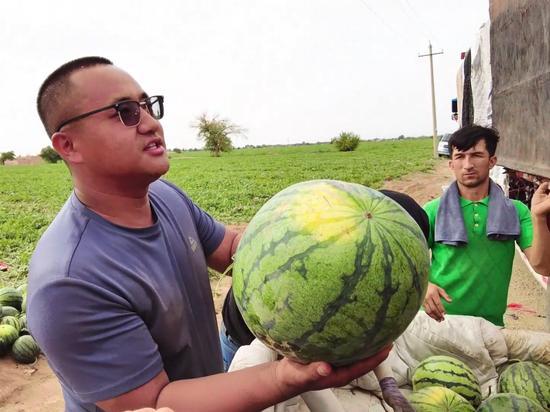 每日吃瓜大赛全国,全国瓜农竞技盛宴