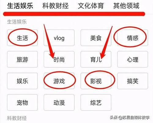 头条发视频怎么收益最高,揭秘高效赚钱技巧