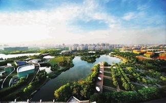 新江湾城最新爆料新闻,揭秘神秘项目与周边发展动态