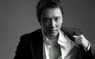 男明星图片中国,探寻男明星的帅气瞬间