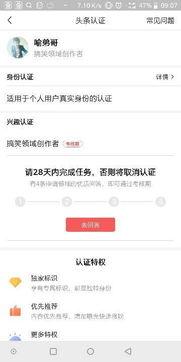 头条图库可以认定合格吗,品质与信任的视觉见证