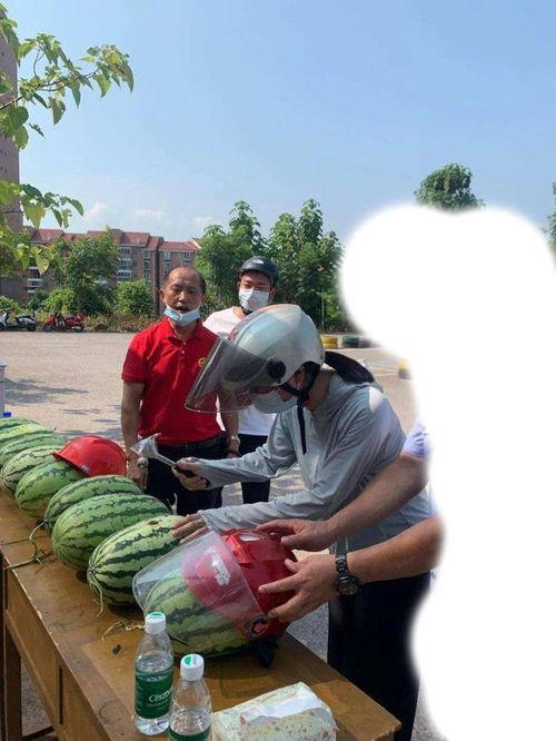 济宁吃瓜最新事件,揭秘背后真相与网络舆论风暴