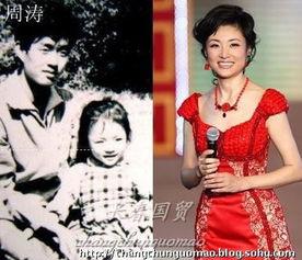 节目主持人明星化,主持界明星化新篇章