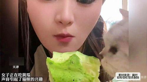 女人微信吃瓜,女性社交新潮流