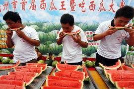 黄山吃瓜大赛,一场别开生面的吃瓜大赛盛宴