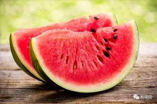 这样吃瓜才最解馋,这样吃瓜，清凉一夏！