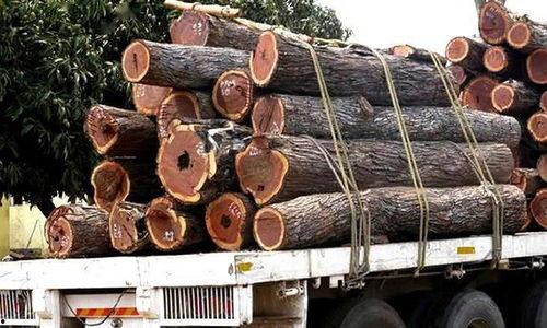 襄阳哪里买到木头条,探寻木头条的传承之地