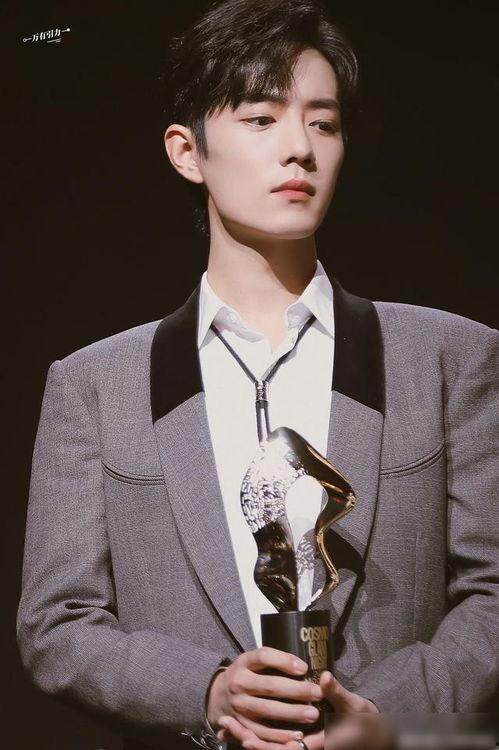 明星男2020年,闪耀舞台，成就非凡