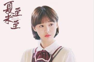 明星校园小说杨幂,杨幂的璀璨星途